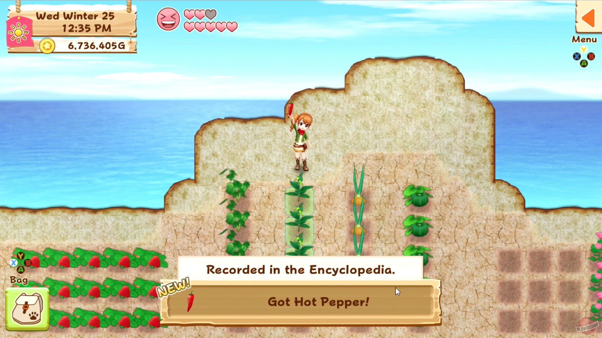 Скриншот из игры Harvest Moon: Light of Hope - 3