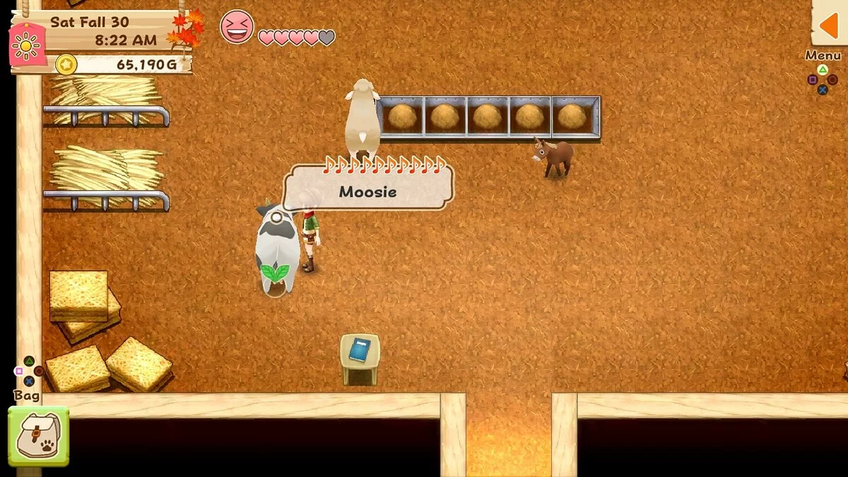 Скриншот из игры Harvest Moon: Light of Hope - 24