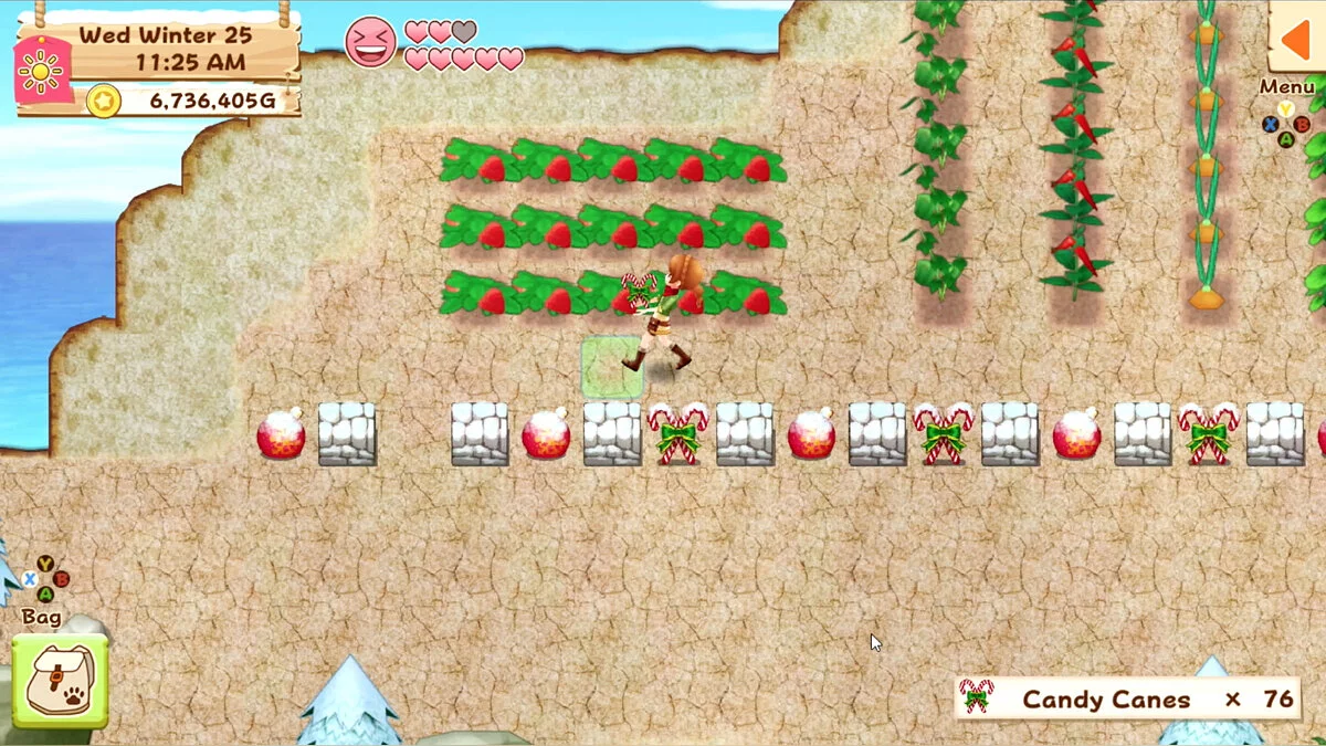 Скриншот из игры Harvest Moon: Light of Hope - 5