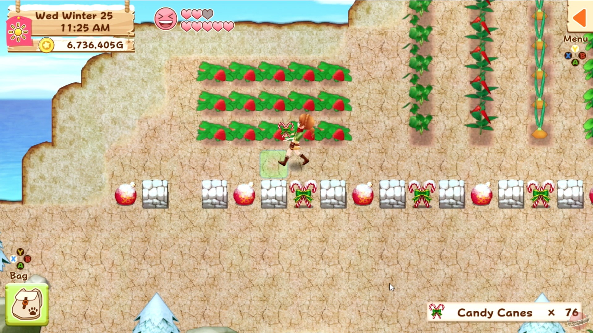 Скриншот из игры Harvest Moon: Light of Hope - 11