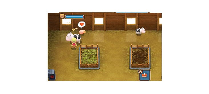 Скриншот из игры Harvest Moon: The Tale of Two Towns - 1