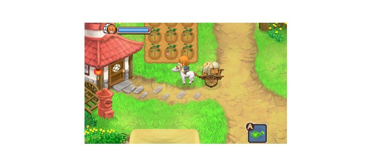 Скриншот из игры Harvest Moon: The Tale of Two Towns - 8