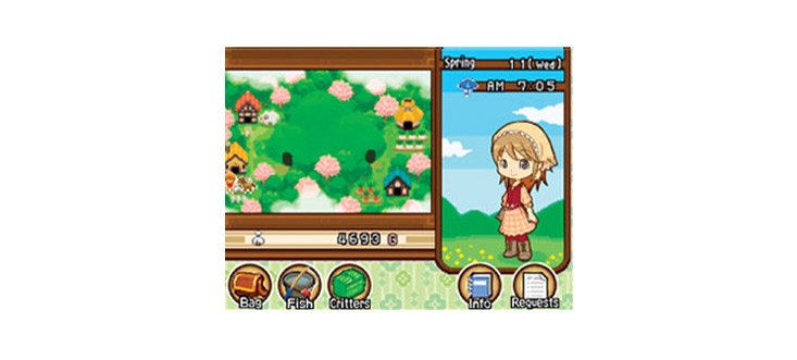 Скриншот из игры Harvest Moon: The Tale of Two Towns - 3