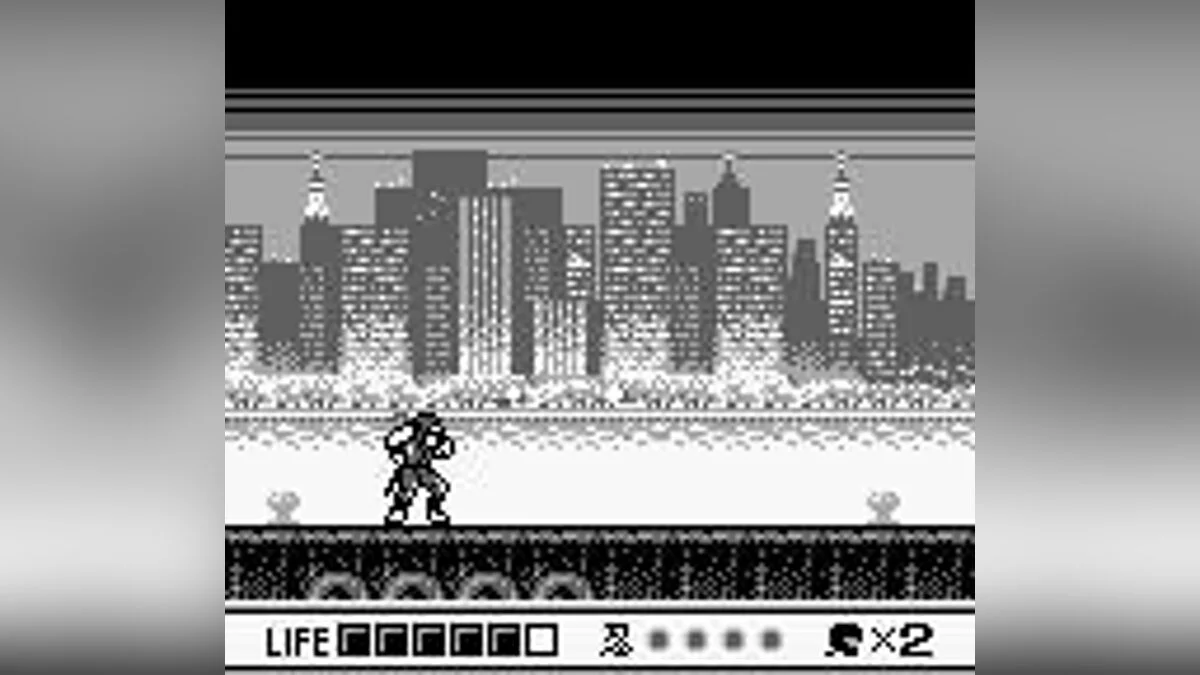 Скриншот из игры Ninja Gaiden Shadow - 1