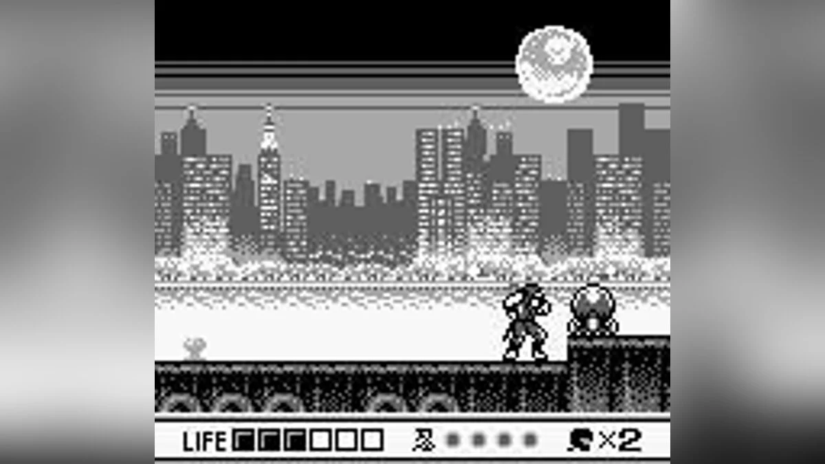 Скриншот из игры Ninja Gaiden Shadow - 8
