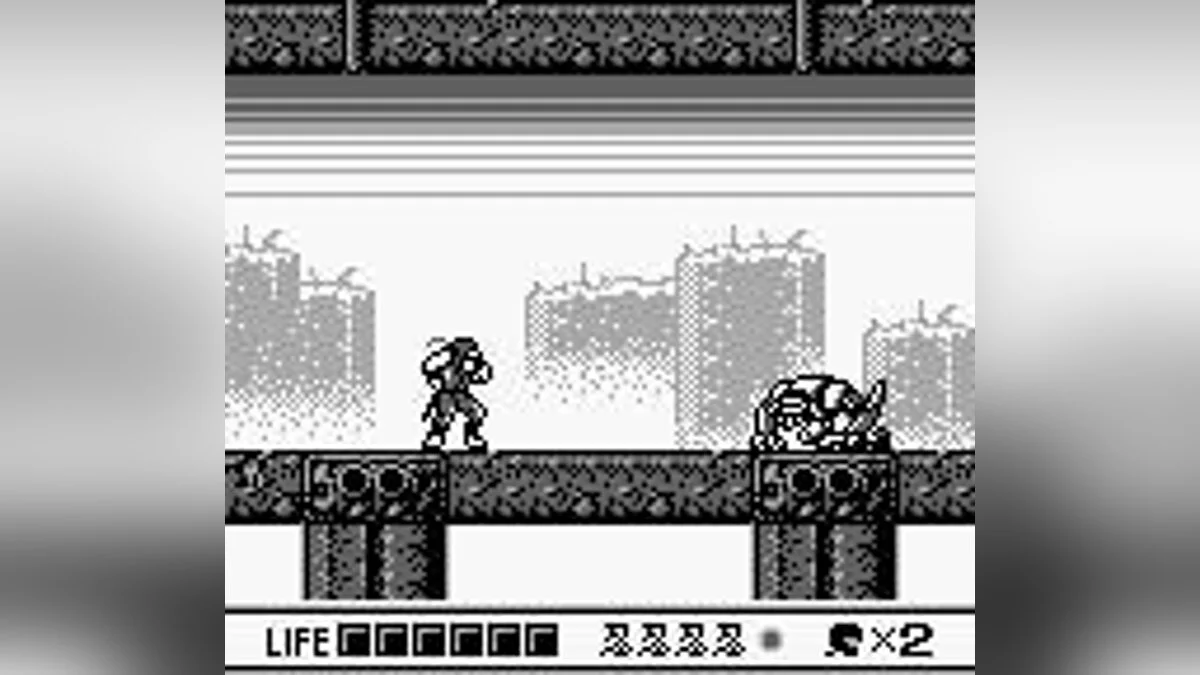 Скриншот из игры Ninja Gaiden Shadow - 2
