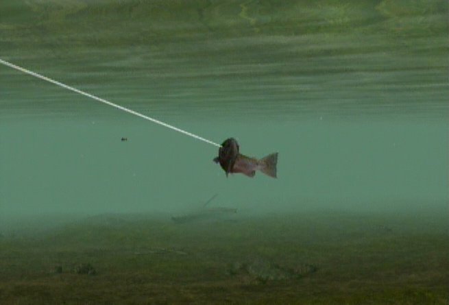 Скриншот из игры Reel Fishing: Angler's Dream - 2