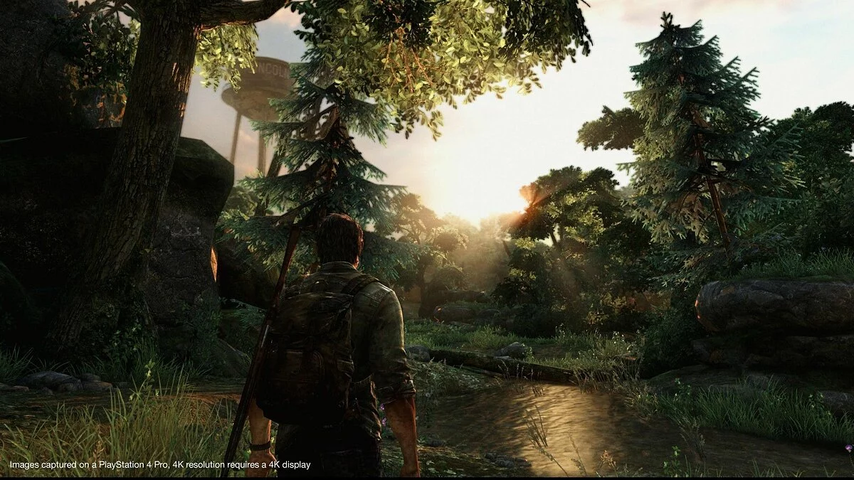 Скриншот из игры The Last of Us: Left Behind - 10