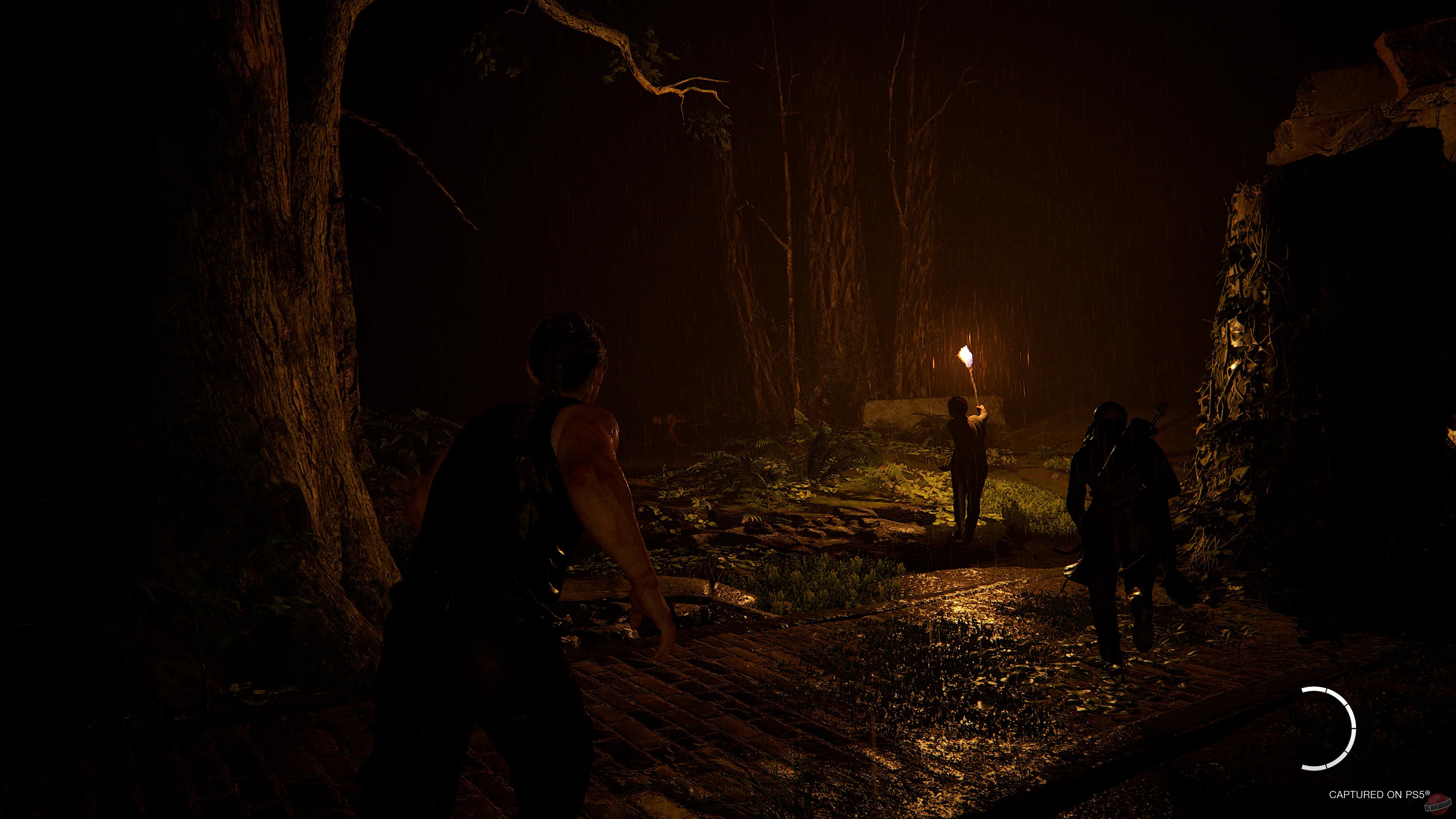 Скриншот из игры The Last of Us: Part 2 - 41