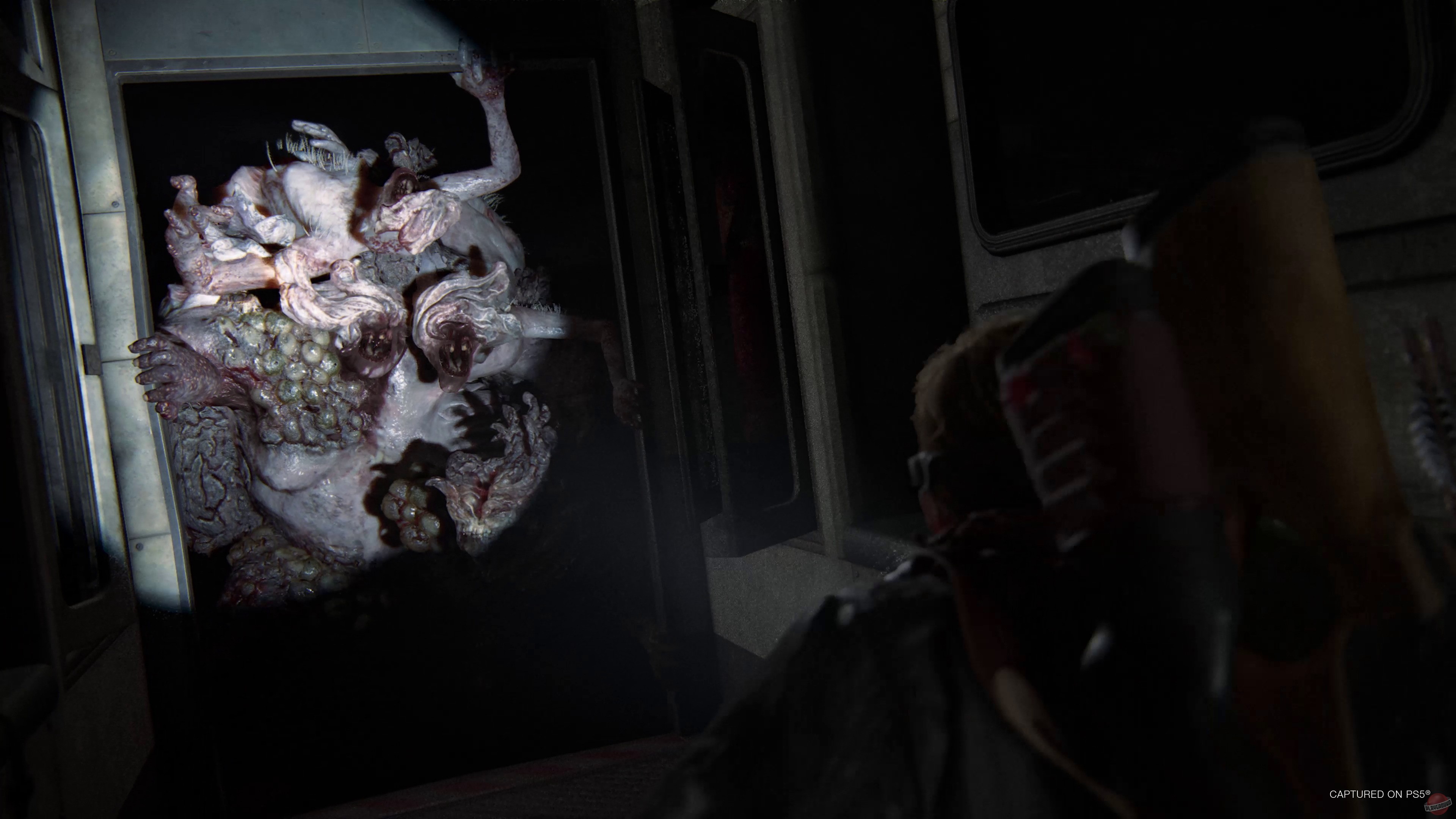 Скриншот из игры The Last of Us: Part 2 - 26
