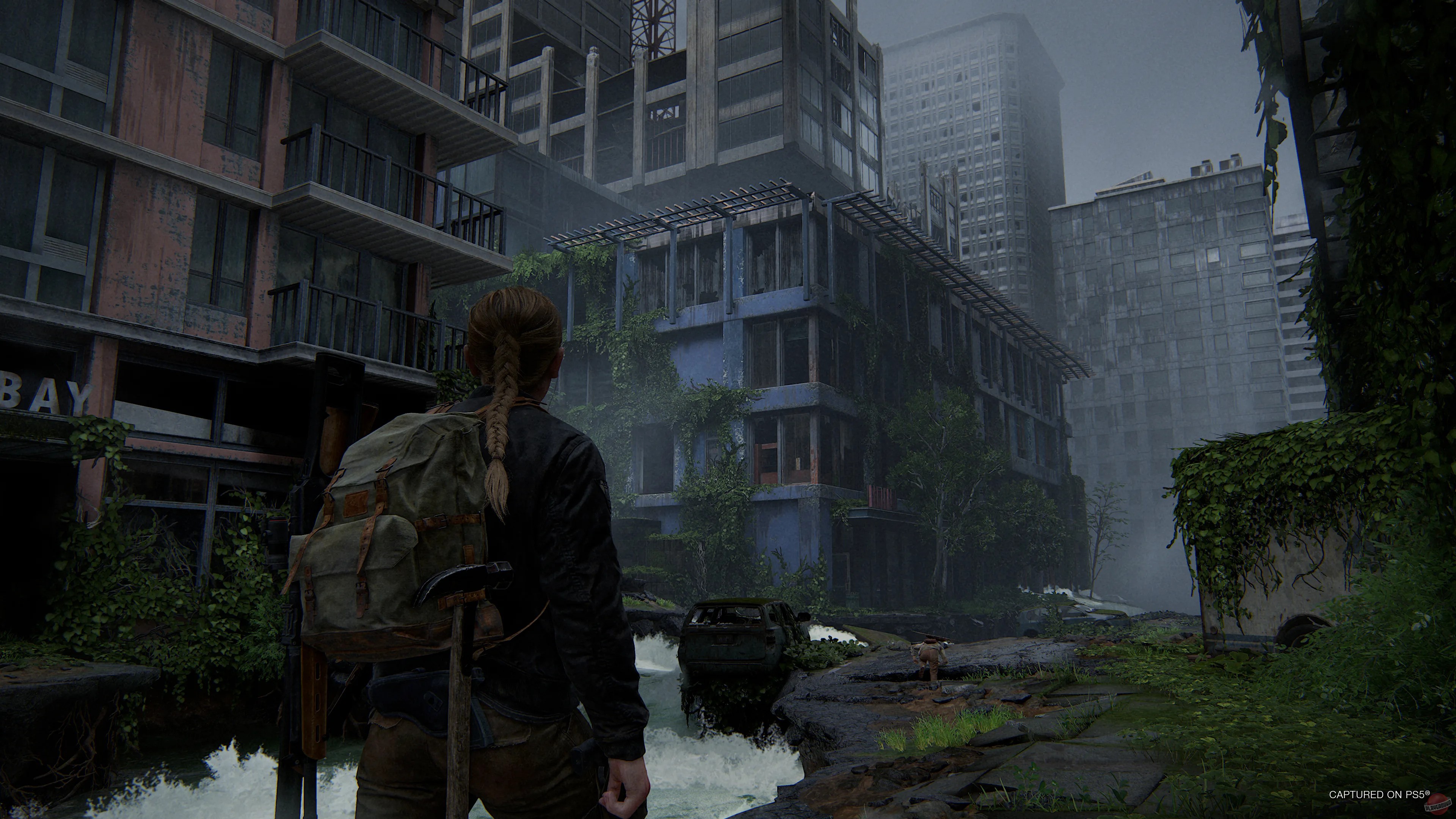 Скриншот из игры The Last of Us: Part 2 - 36