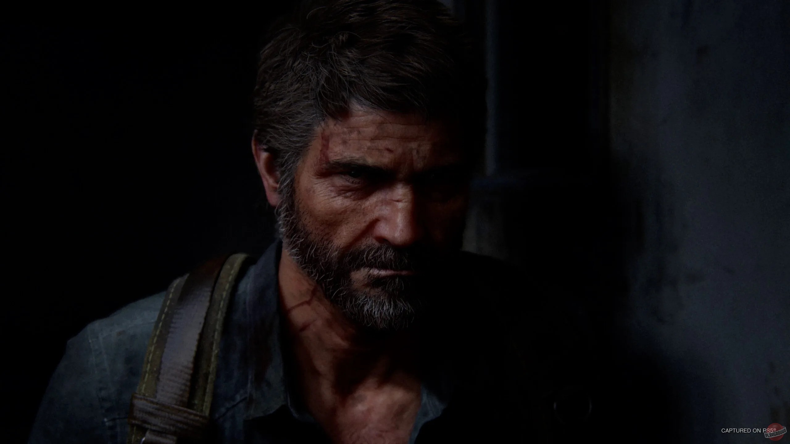 Скриншот из игры The Last of Us: Part 2 - 27