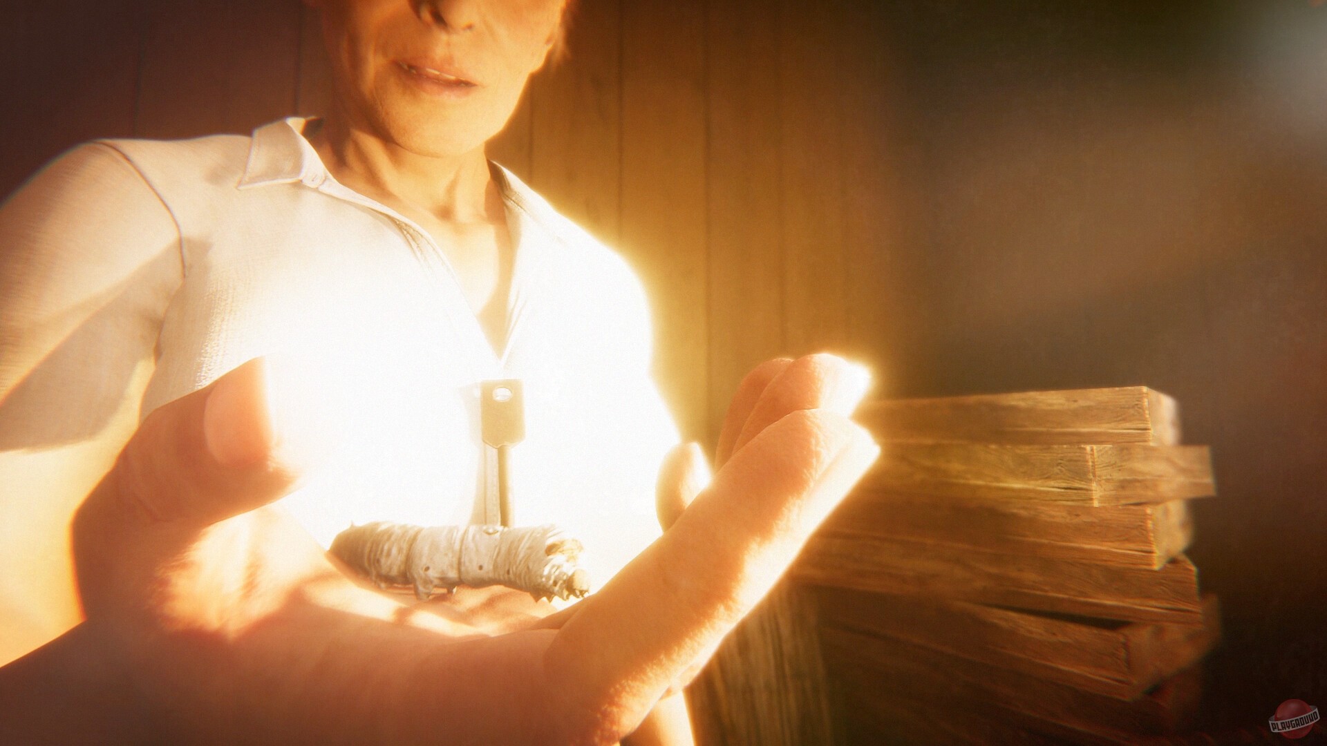 Скриншот из игры Hollow Cocoon - 41