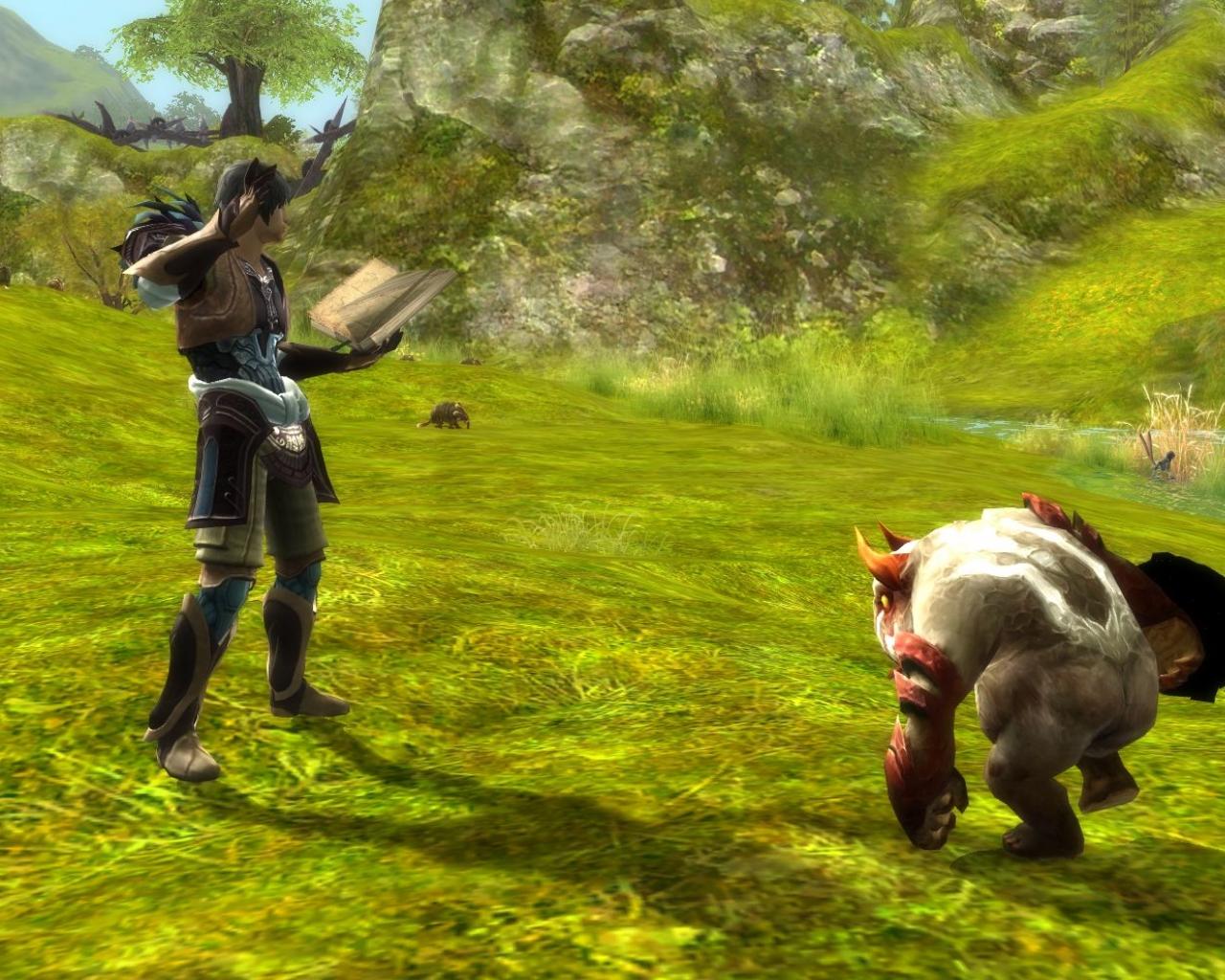 Скриншот из игры Aion: The Tower of Eternity - 80