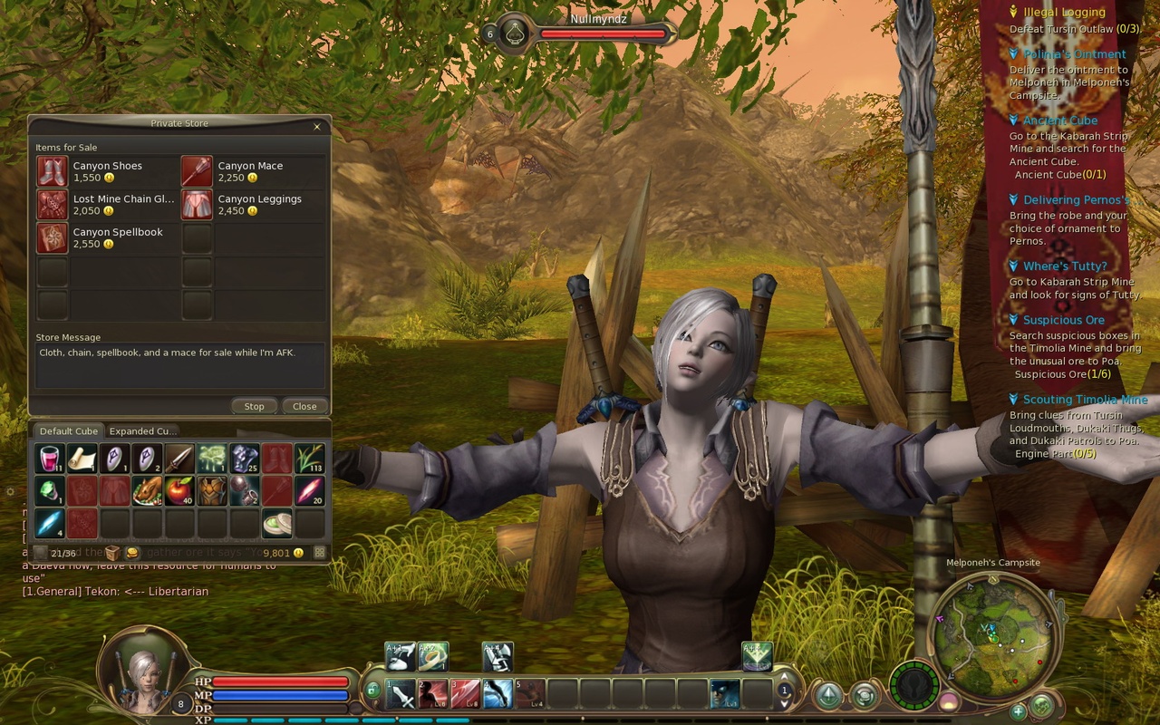 Скриншот из игры Aion: The Tower of Eternity - 15