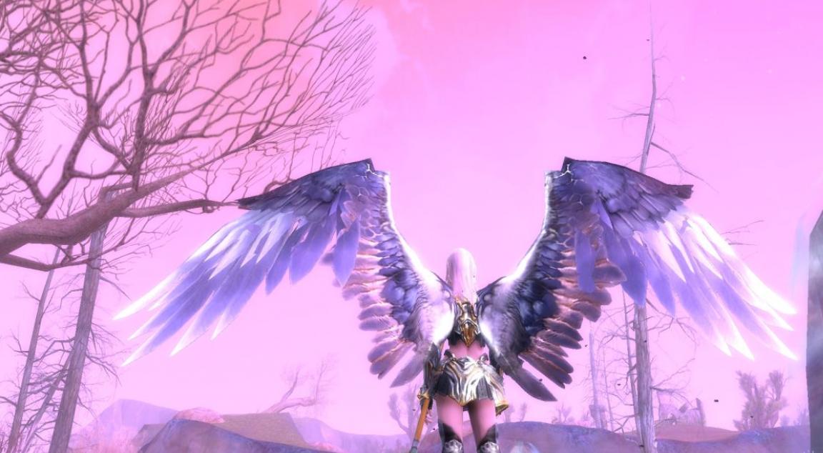 Скриншот из игры Aion: The Tower of Eternity - 77