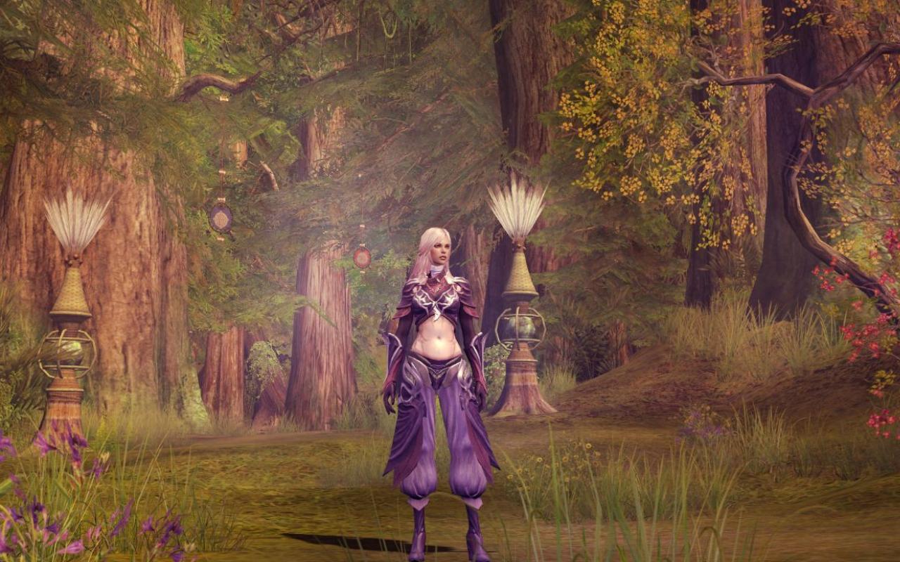 Скриншот из игры Aion: The Tower of Eternity - 188