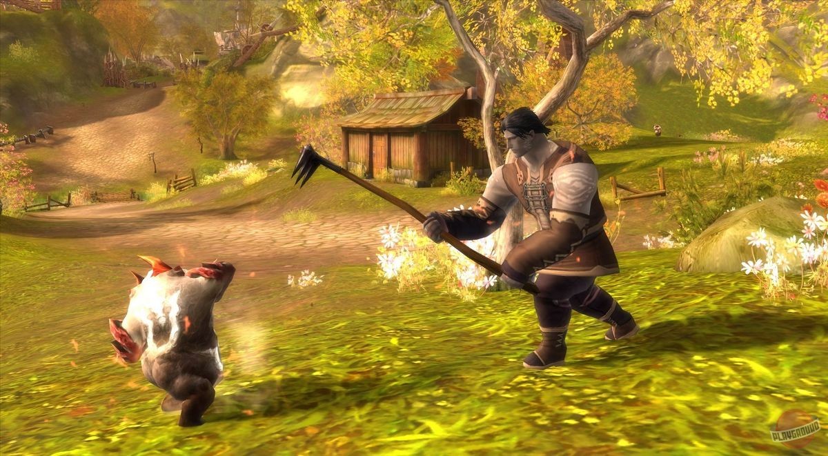 Скриншот из игры Aion: The Tower of Eternity - 21