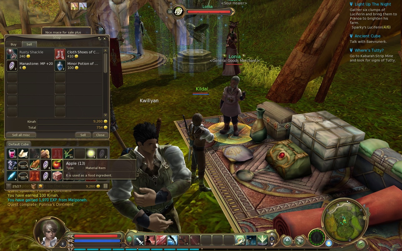 Скриншот из игры Aion: The Tower of Eternity - 43