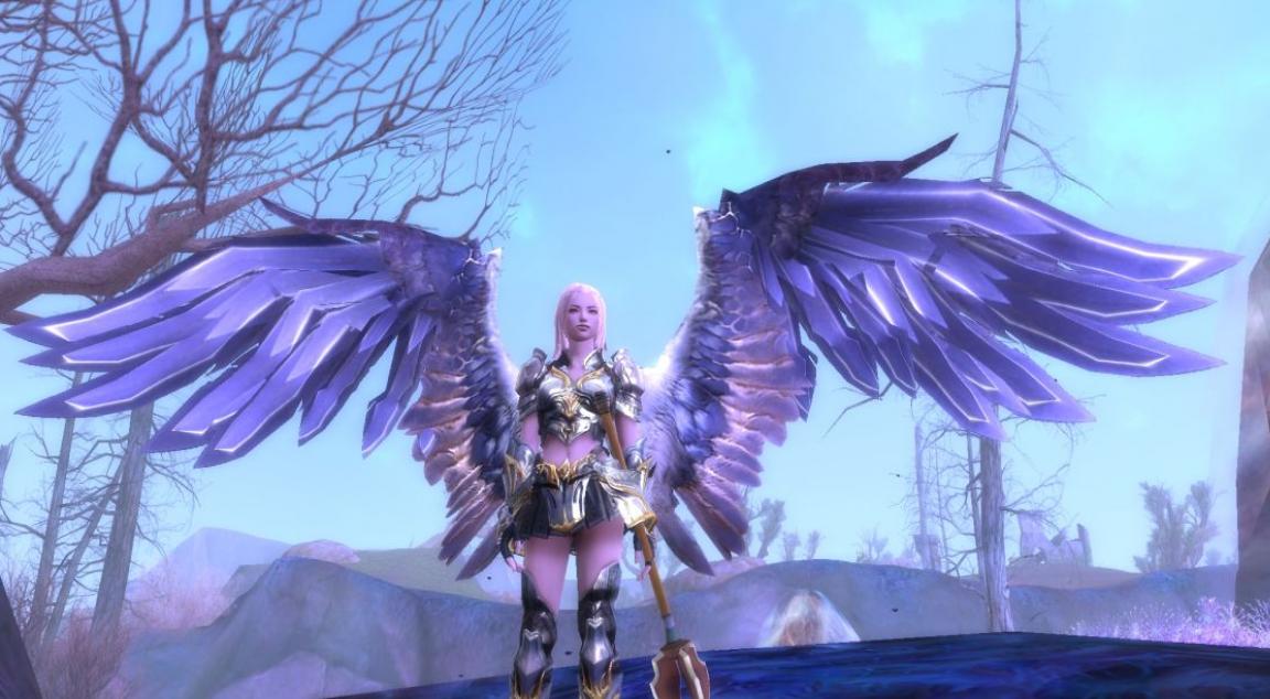 Скриншот из игры Aion: The Tower of Eternity - 118