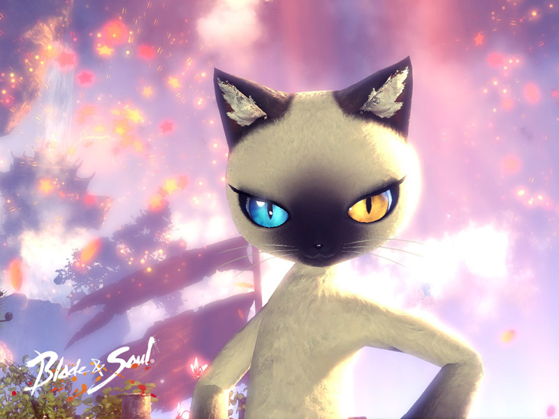 Скриншот из игры Blade & Soul - 69