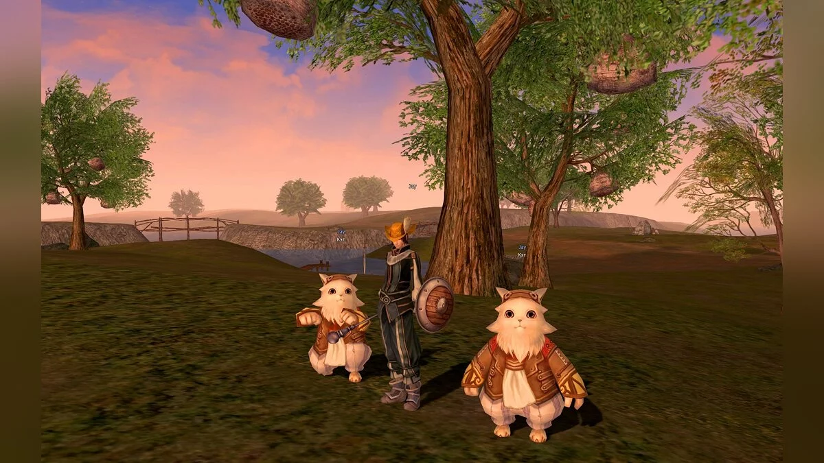 Скриншот из игры Lineage 2 Legacy - 7