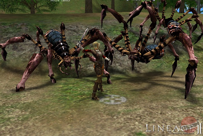 Скриншот из игры Lineage 2 - 44