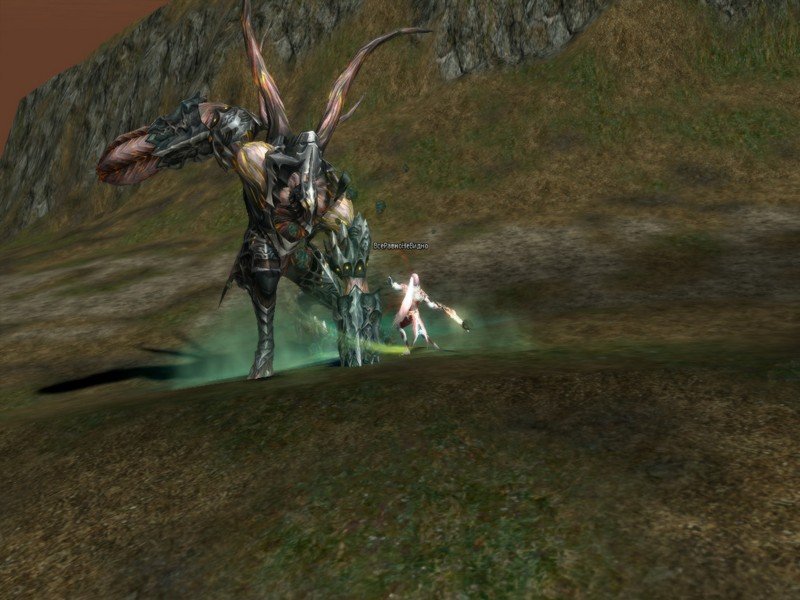 Скриншот из игры Lineage 2 - 5