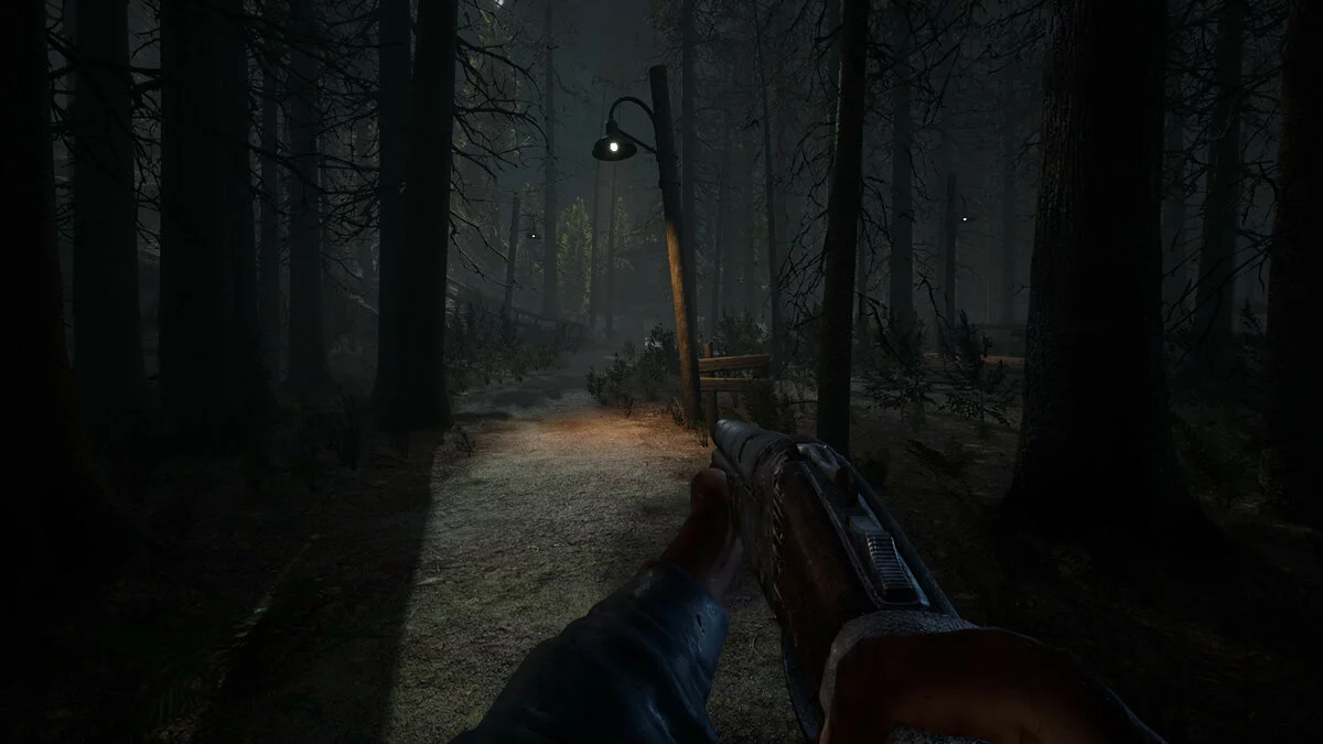 Скриншот из игры Nighthunt - 5