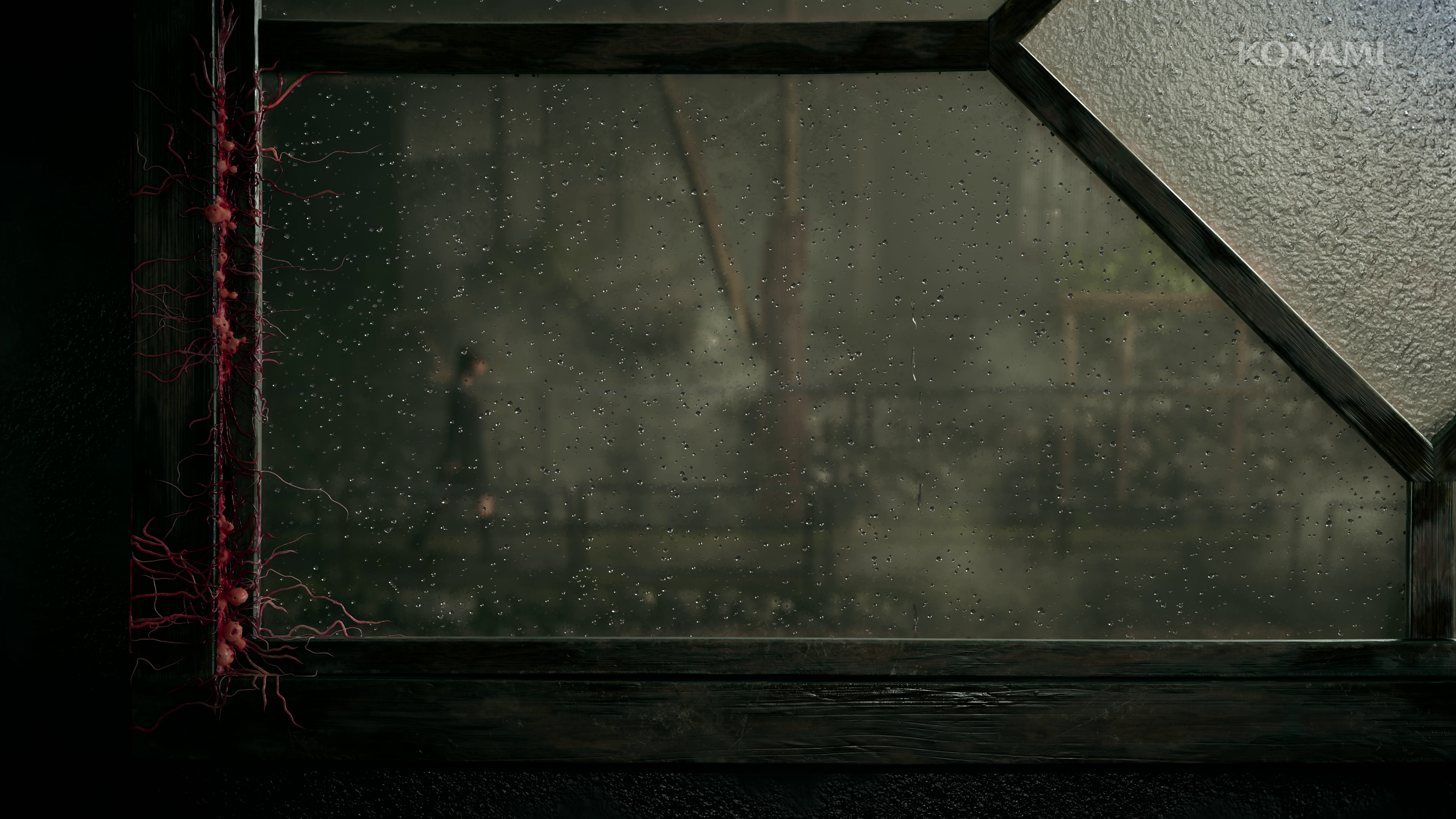 Скриншот из игры Silent Hill f - 10