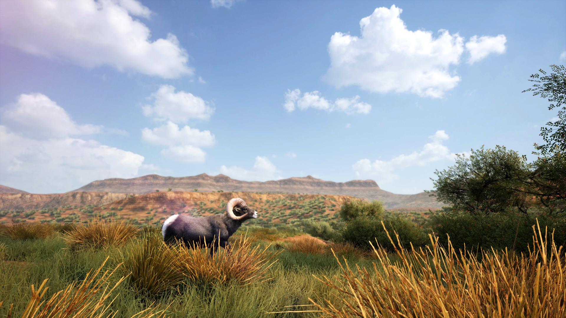 Скриншот из игры Hunting Simulator 2 - 47