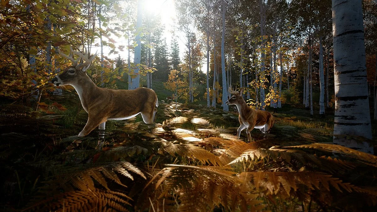 Скриншот из игры Hunting Simulator 2 - 40