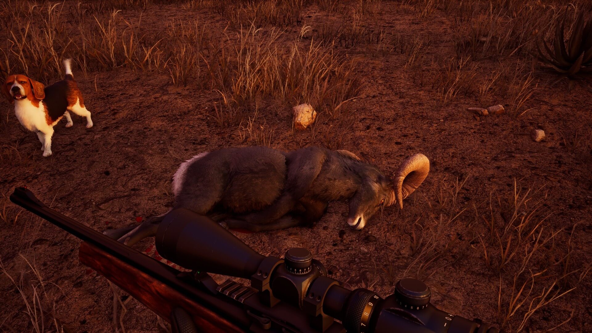 Скриншот из игры Hunting Simulator 2 - 33