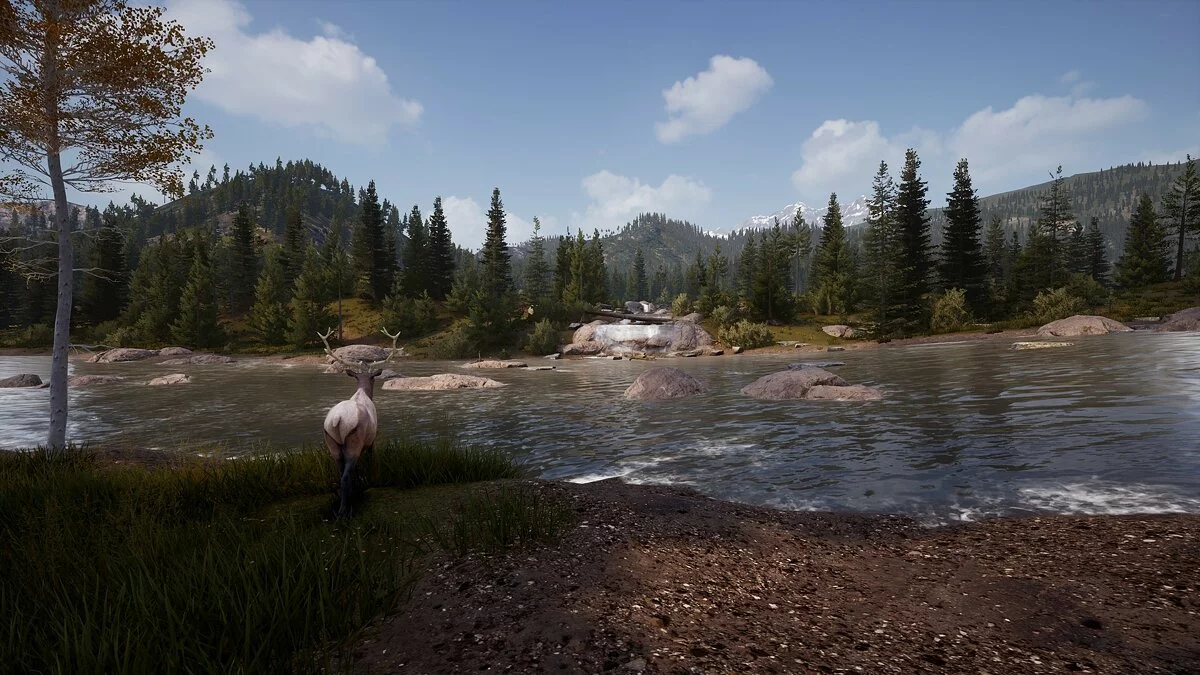 Скриншот из игры Hunting Simulator 2 - 14