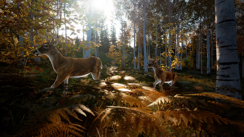 Скриншот из игры Hunting Simulator 2 - 1