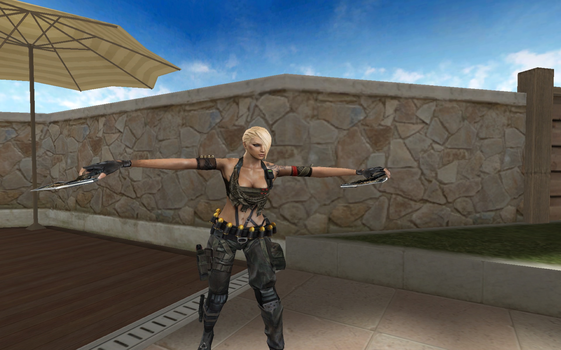 Скриншот из игры Cross Fire - 143