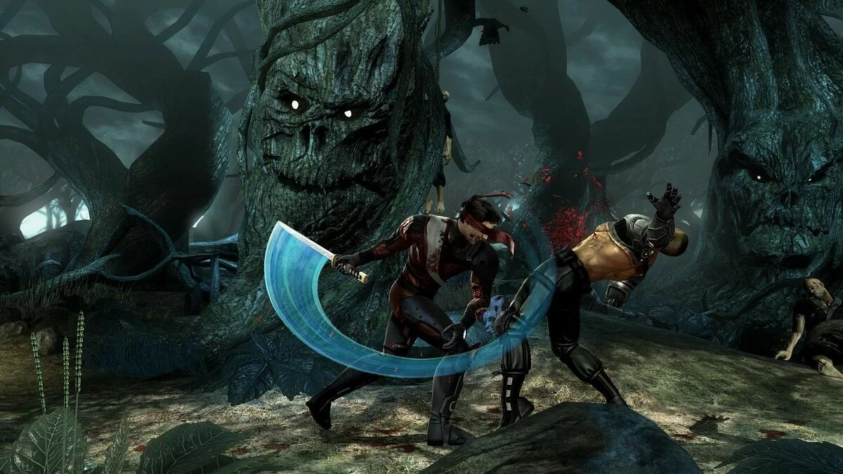 Скриншот из игры Mortal Kombat Komplete Edition - 20