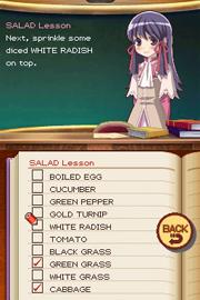 Скриншот из игры Rune Factory 2: A Fantasy Harvest Moon - 2