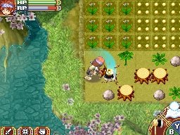 Скриншот из игры Rune Factory 2: A Fantasy Harvest Moon - 15