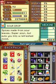 Скриншот из игры Rune Factory 2: A Fantasy Harvest Moon - 7