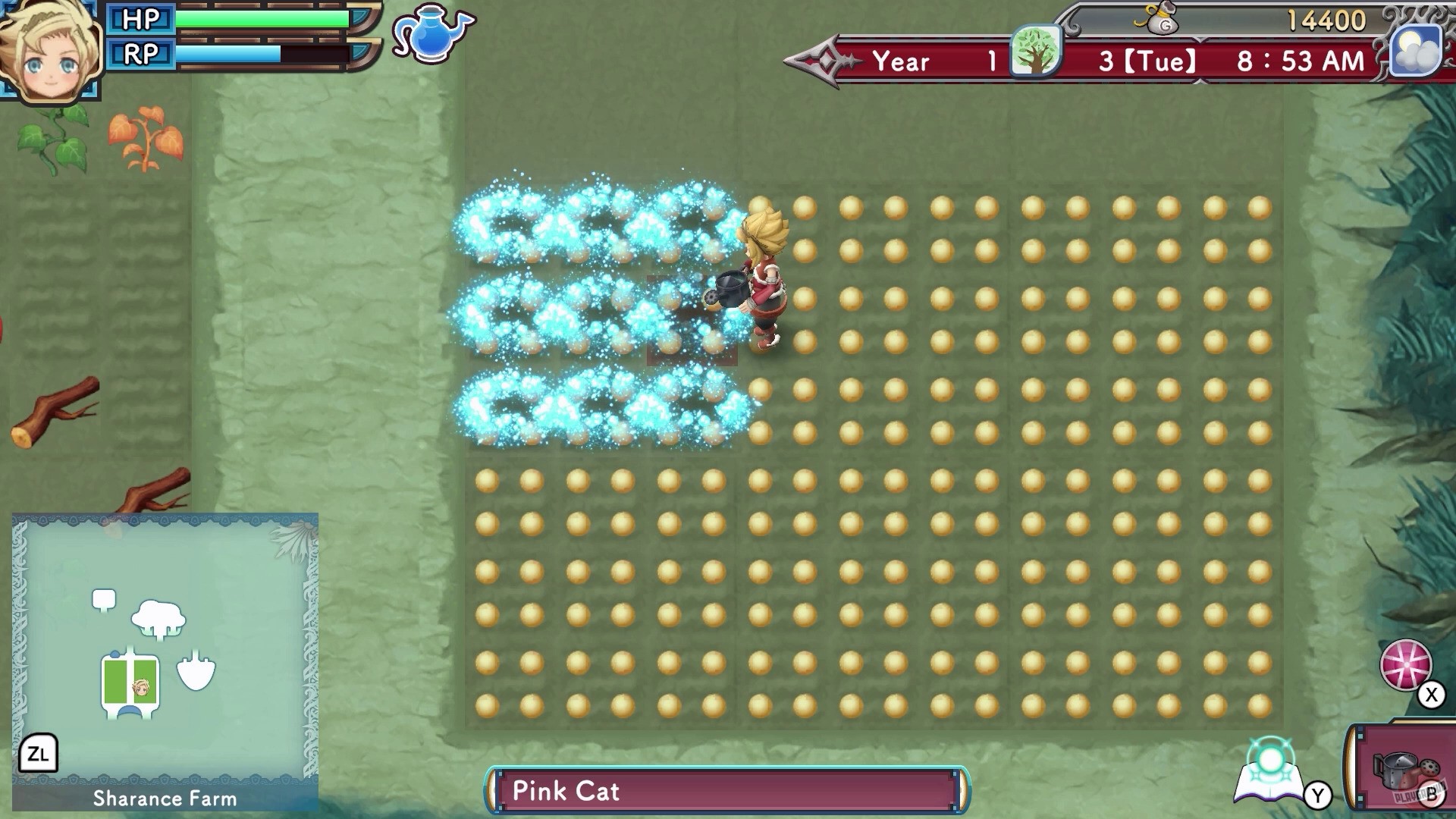 Скриншот из игры Rune Factory 3 Special - 21