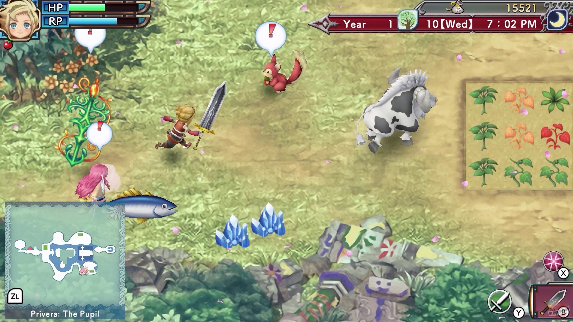 Скриншот из игры Rune Factory 3 Special - 7