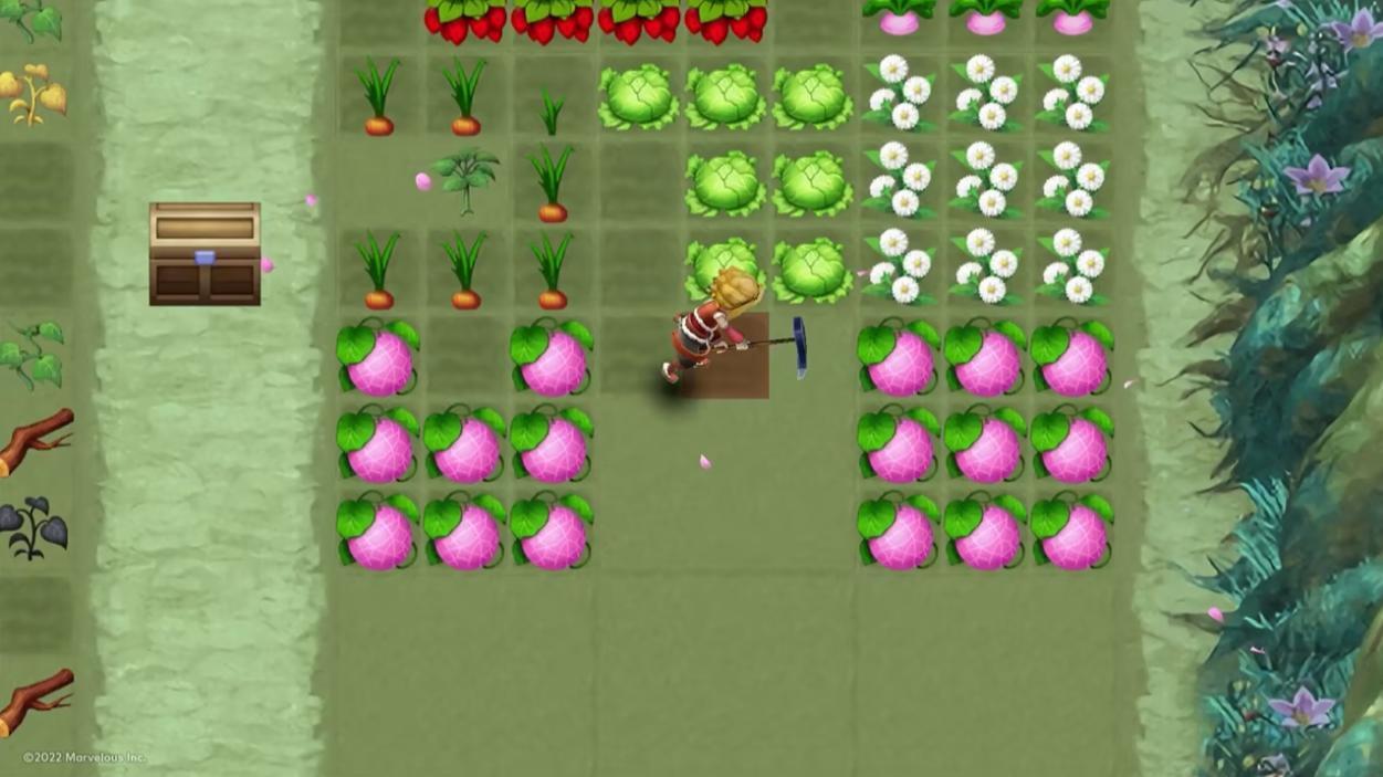 Скриншот из игры Rune Factory 3 Special - 5