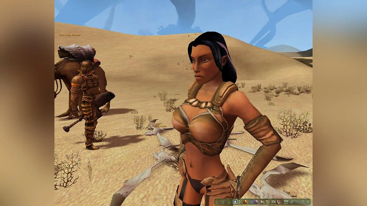 Скриншот из игры Saga of Ryzom - 6