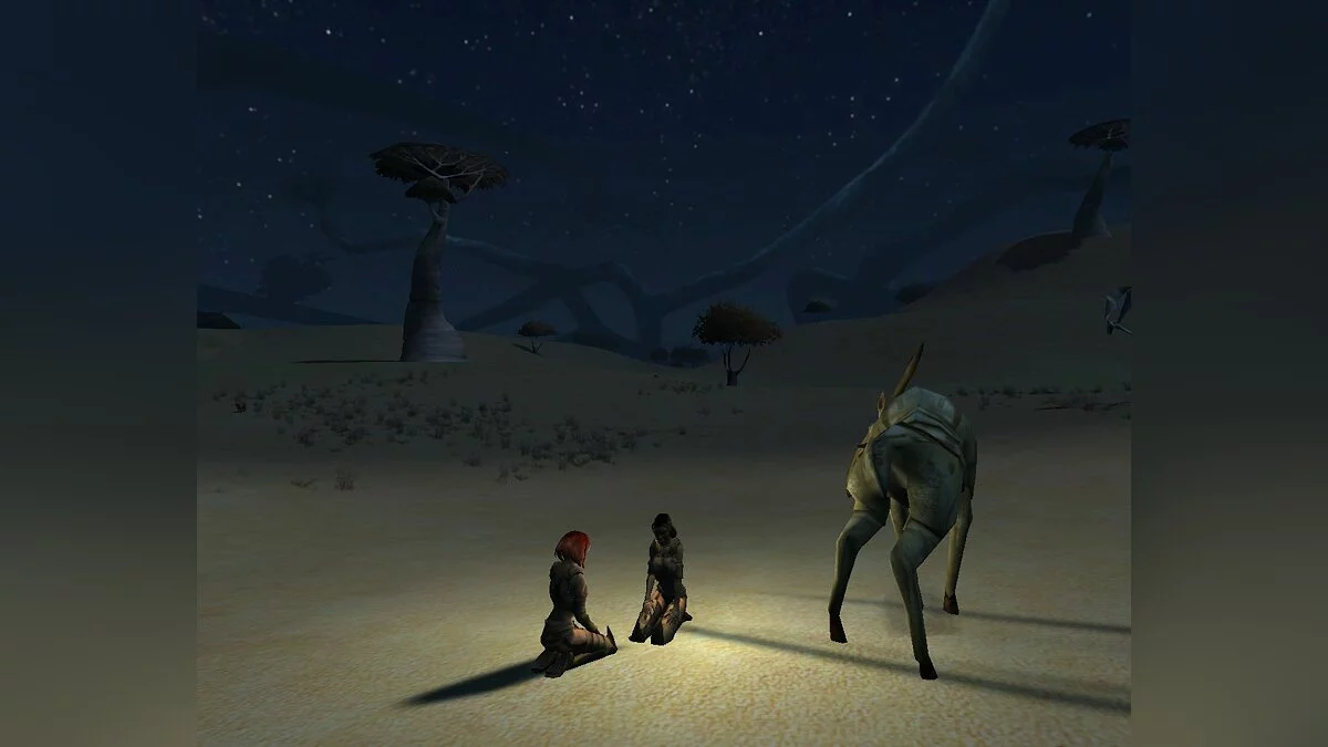 Скриншот из игры Saga of Ryzom - 9