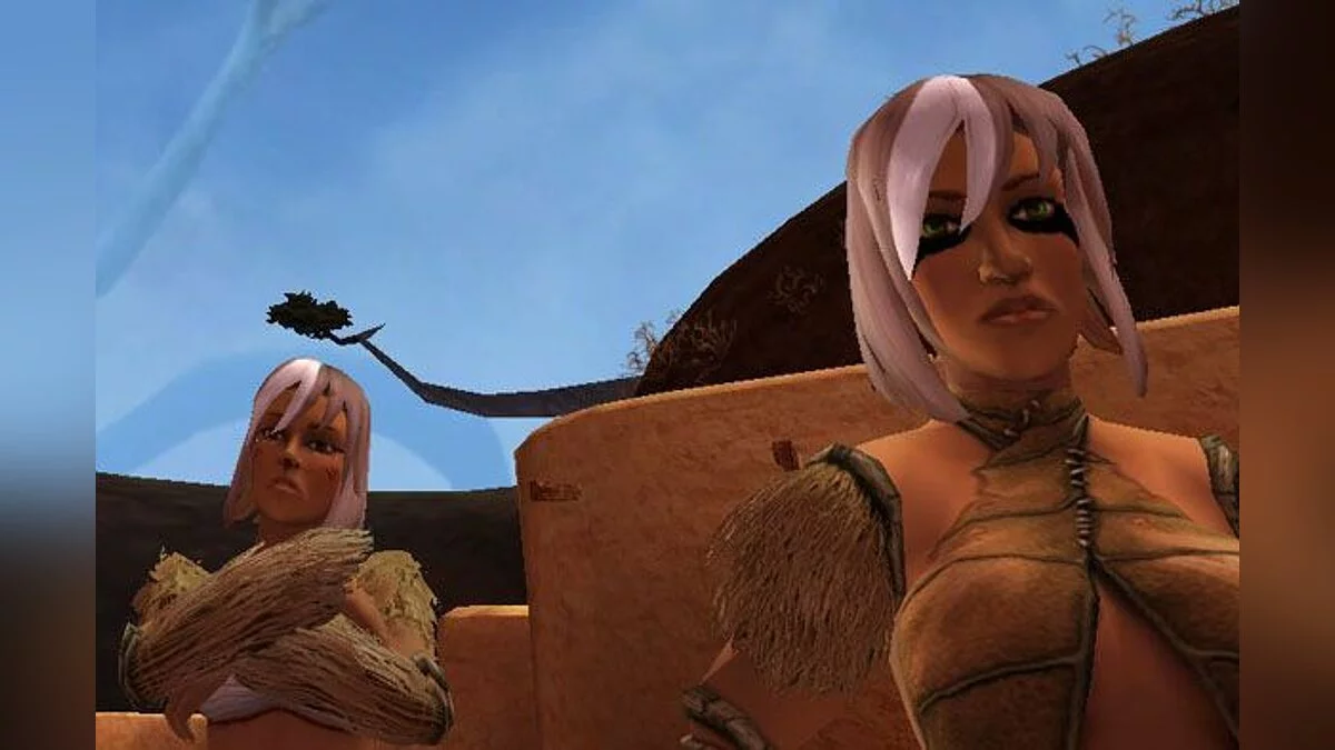 Скриншот из игры Saga of Ryzom - 10