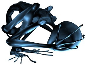 Скриншот из игры The Saga of Ryzom - 7