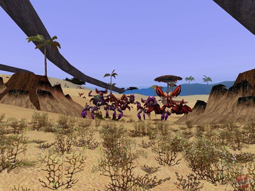 Скриншот из игры The Saga of Ryzom - 6