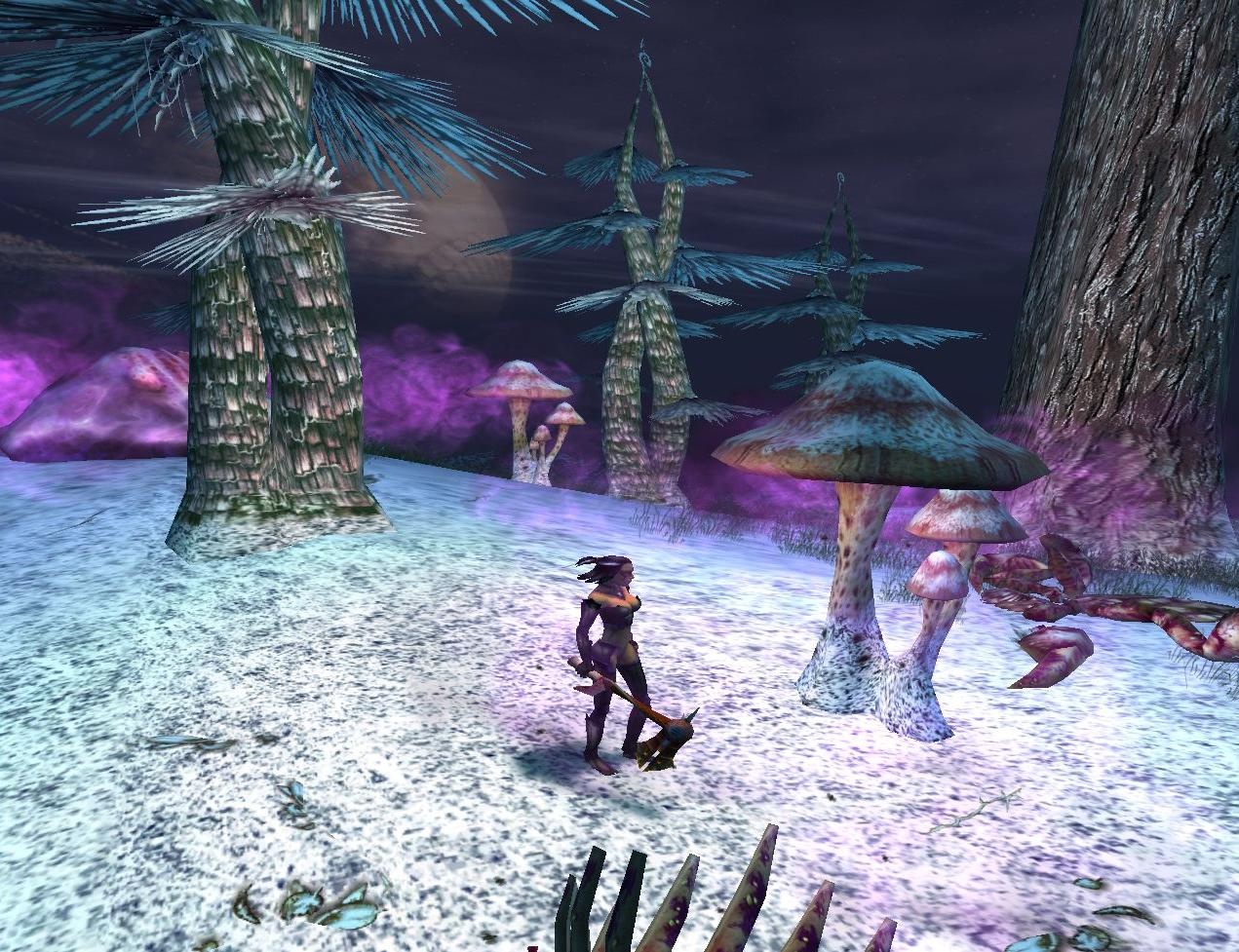 Скриншот из игры The Saga of Ryzom - 12