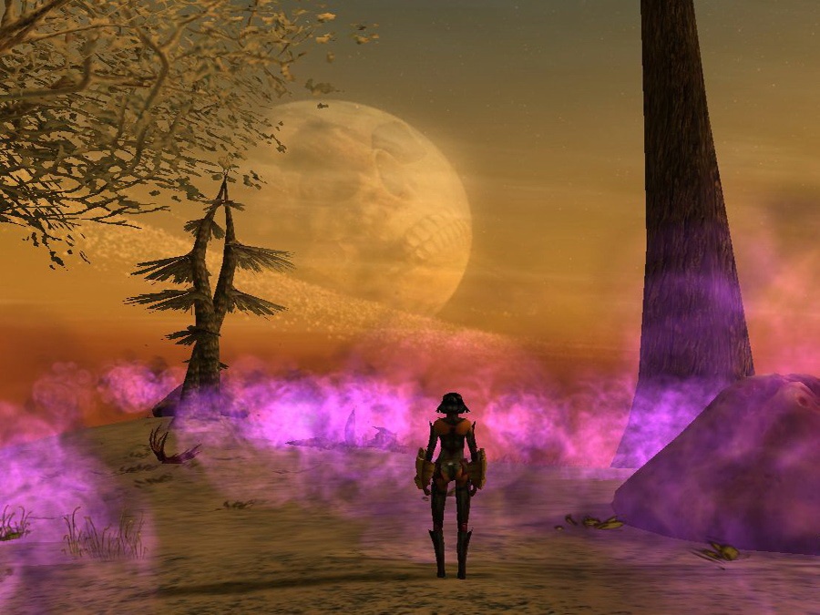 Скриншот из игры The Saga of Ryzom - 3